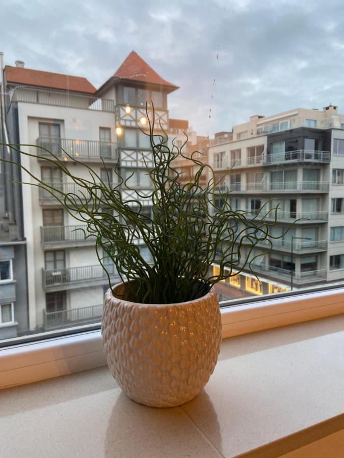 Studio Delfien Oostduinkerke Exteriör bild